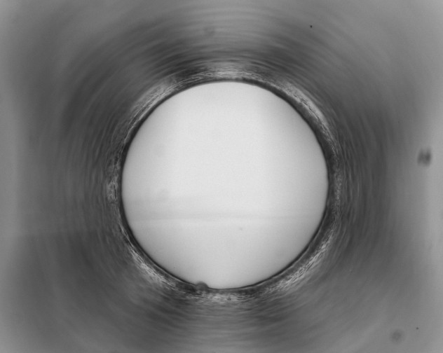 X0000098090801200805021044