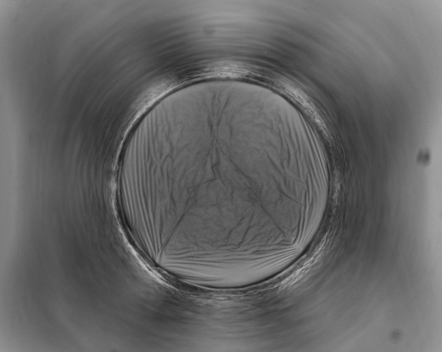 X0000098090802200805021044