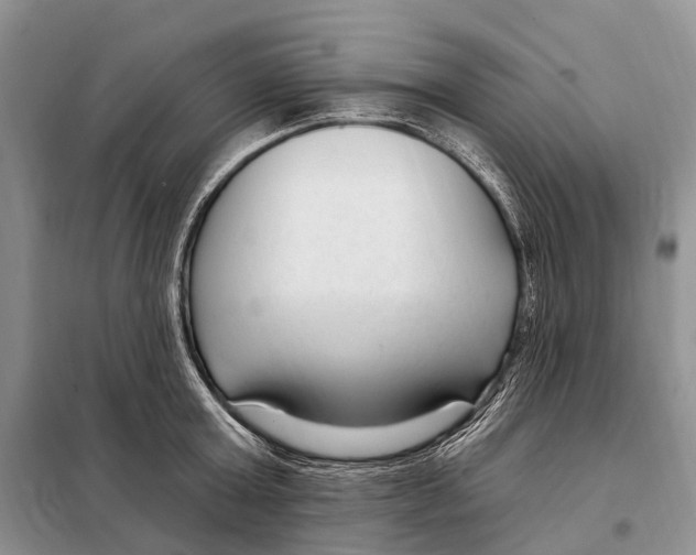 X0000098090803200805021044