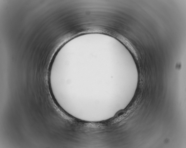 X0000098090805200805021044