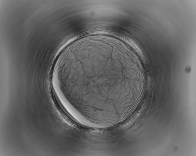 X0000098090806200805021044