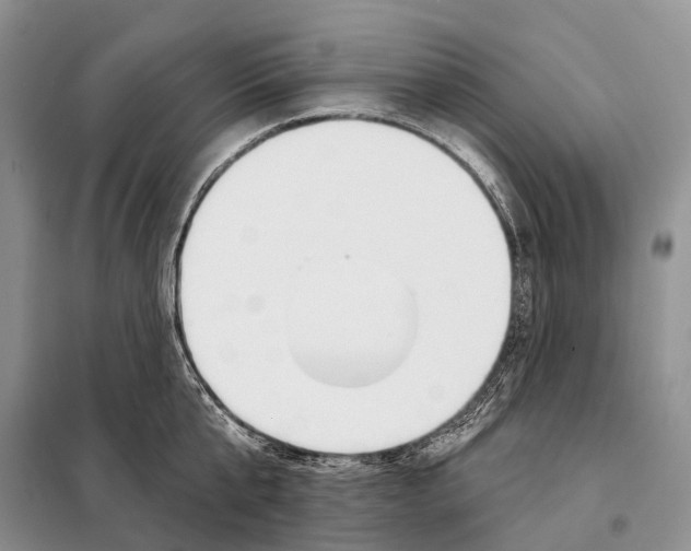 X0000098090807200805021044