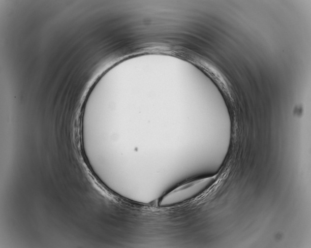 X0000098090808200805021044