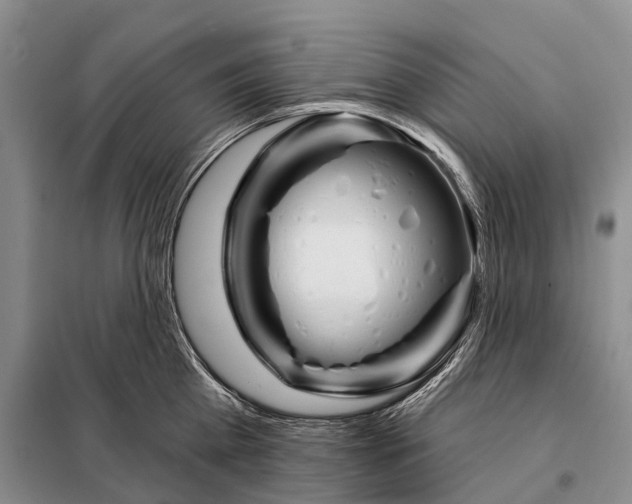 X0000098090809200805021044