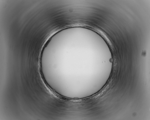 X0000098090810200805021044