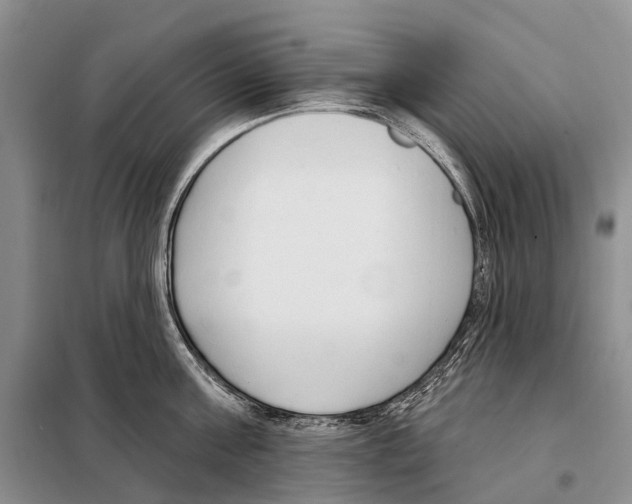 X0000098090811200805021044