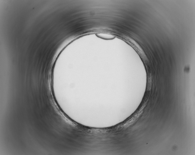 X0000098090812200805021044