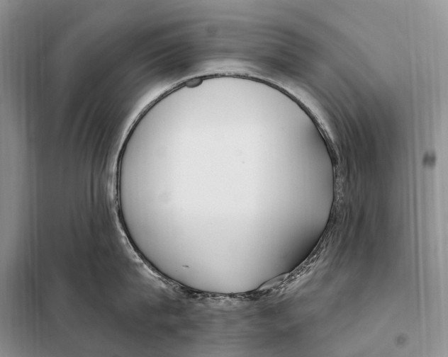 X0000098090815200805021044