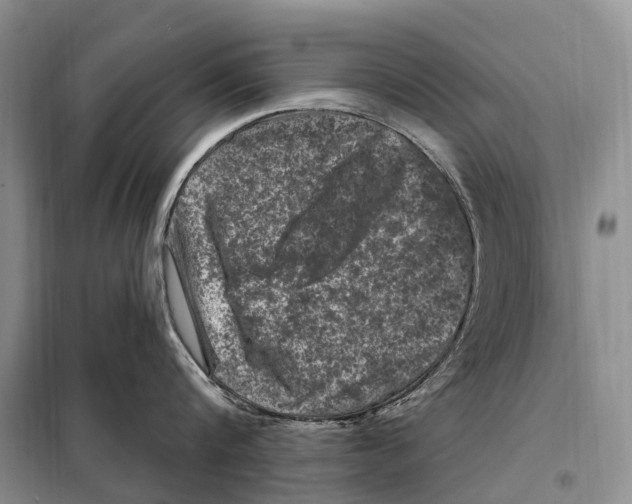 X0000098090816200805021044