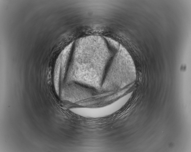 X0000098090818200805021043