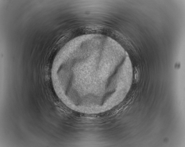 X0000098090819200805021043