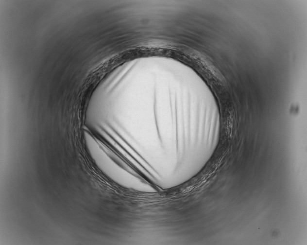 X0000098090821200805021043