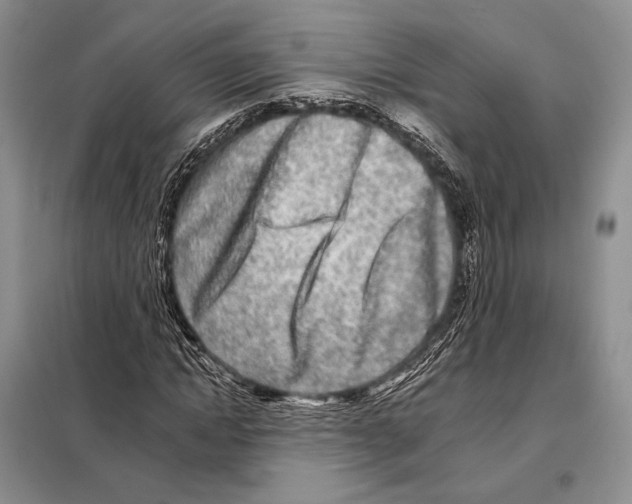 X0000098090822200805021043