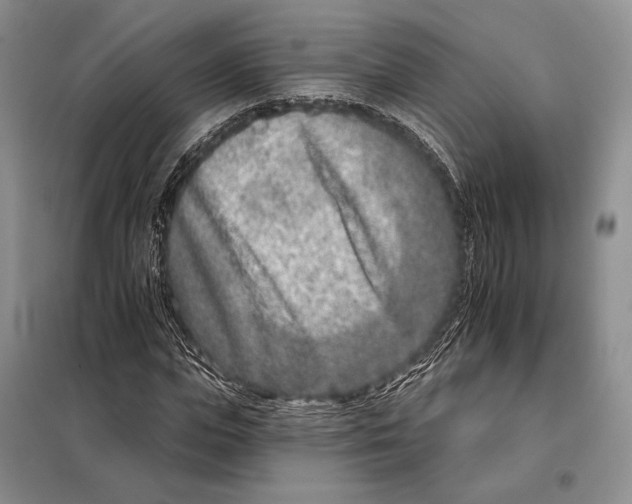 X0000098090823200805021043