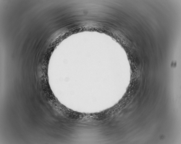 X0000098090824200805021043