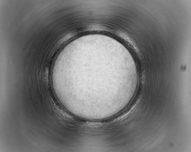 X0000098090825200805021043