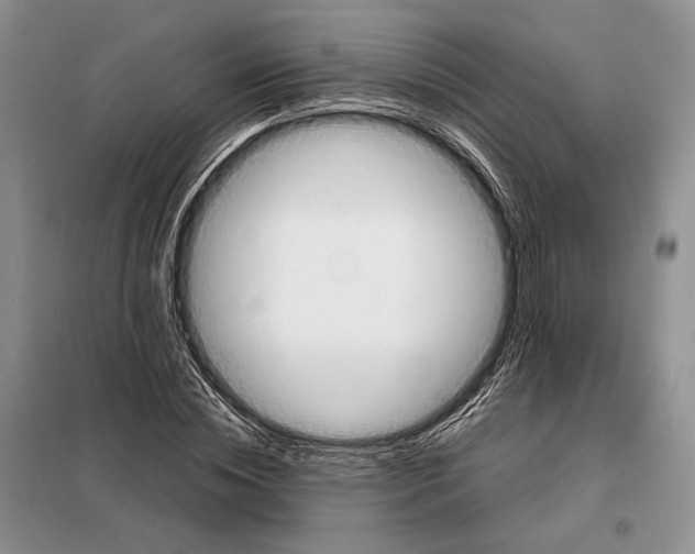 X0000098090828200805021043