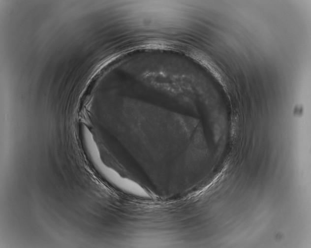 X0000098090829200805021043