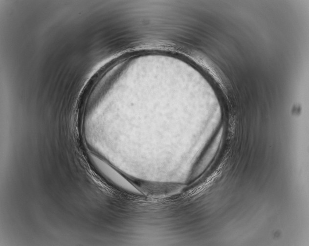 X0000098090830200805021043