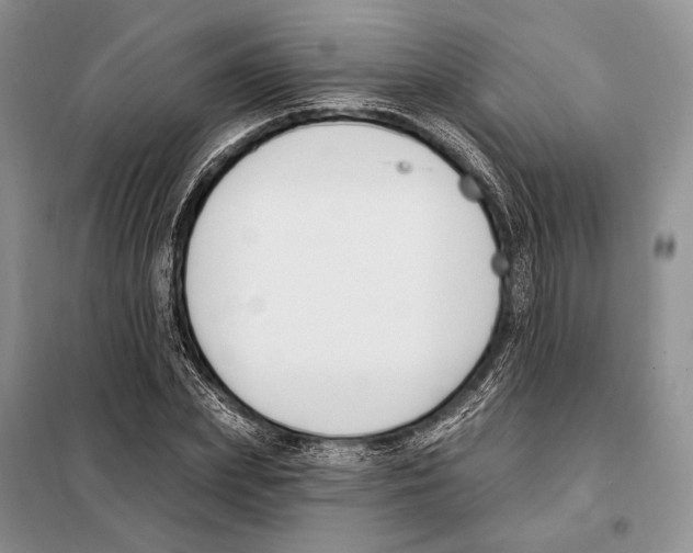 X0000098090831200805021043