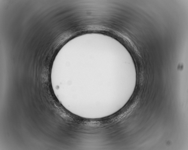 X0000098090833200805021043