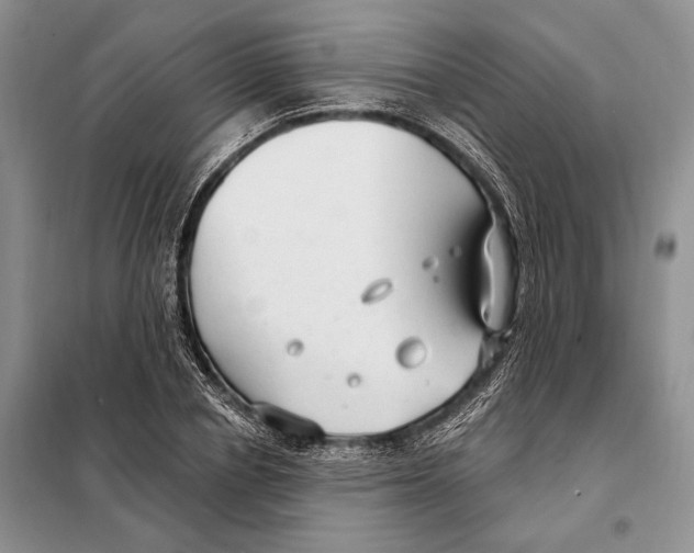 X0000098090834200805021043