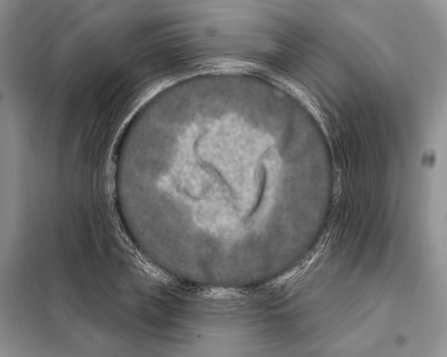 X0000098090835200805021043