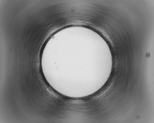 X0000098090837200805021043