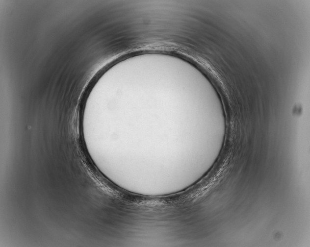 X0000098090838200805021043