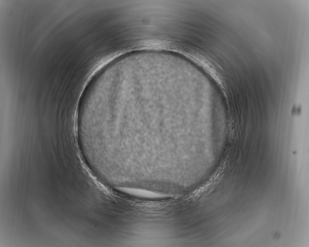 X0000098090839200805021043