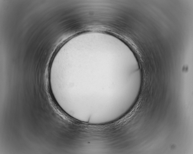 X0000098090840200805021044