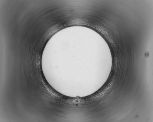 X0000098090841200805021044