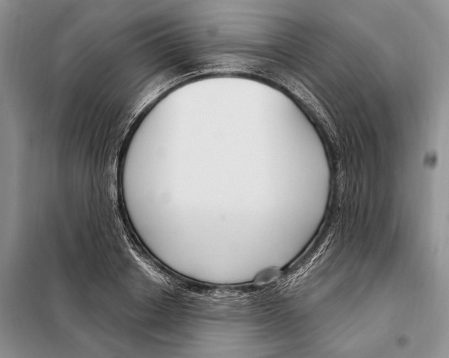 X0000098090842200805021044