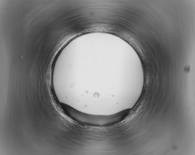 X0000098090844200805021044