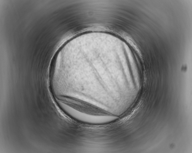 X0000098090845200805021044