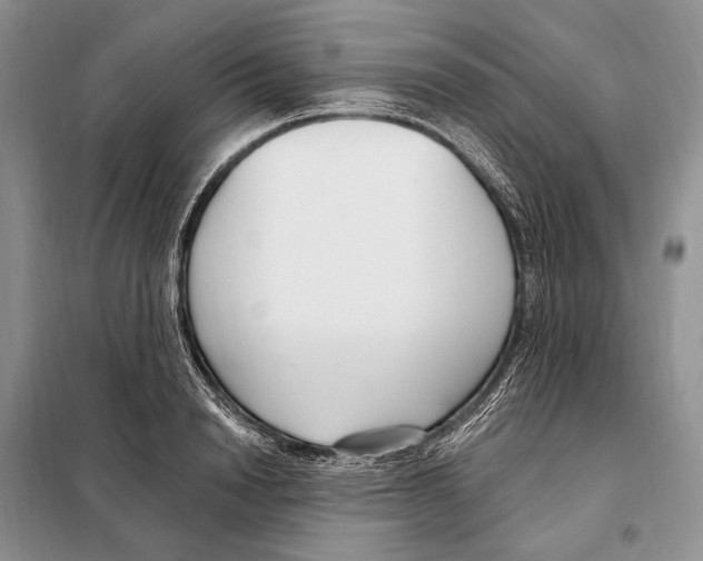 X0000098090846200805021044