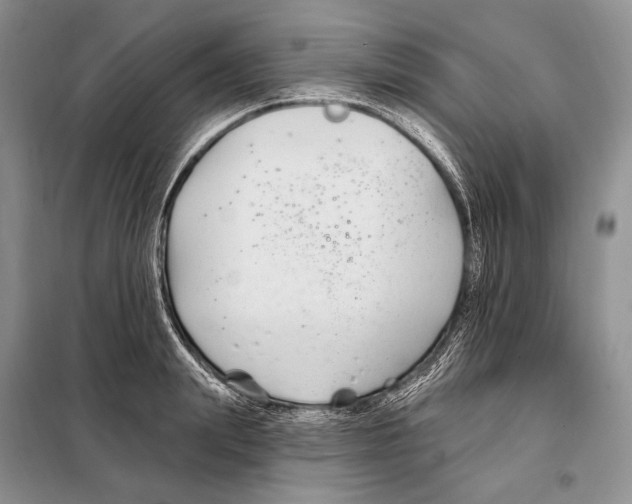 X0000098090847200805021044