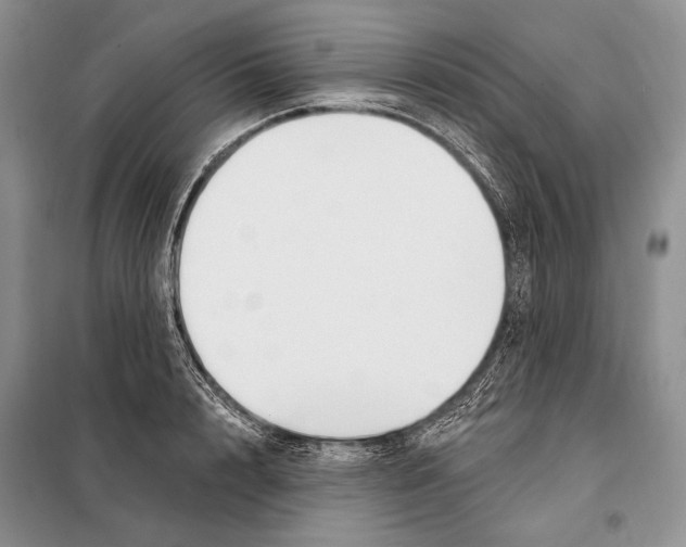 X0000098090848200805021044