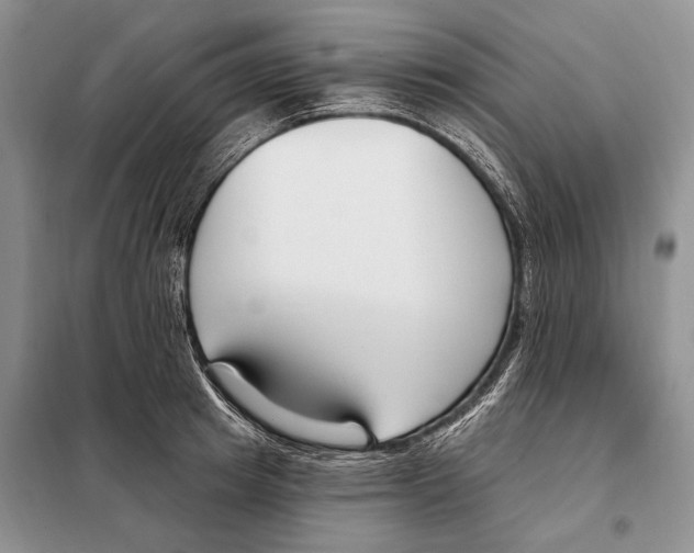 X0000098090849200805021044