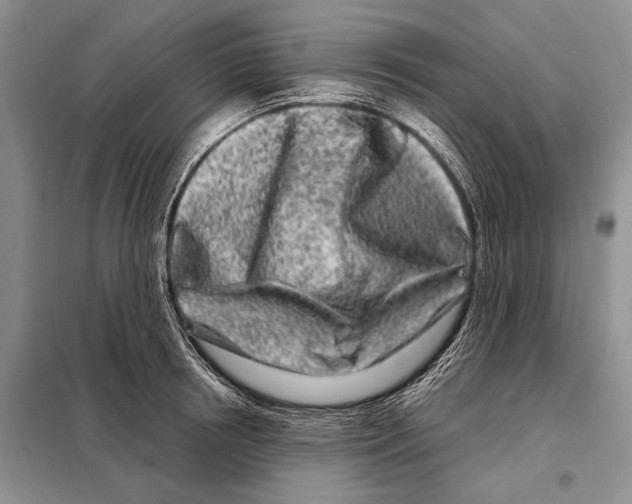 X0000098090850200805021044