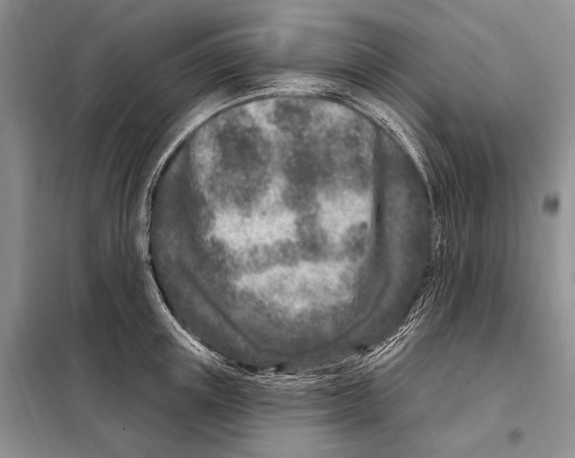 X0000098090851200805021044