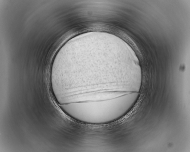 X0000098090852200805021044