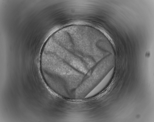 X0000098090853200805021044