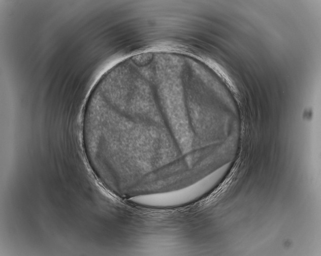 X0000098090854200805021044