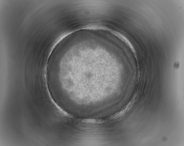 X0000098090855200805021044