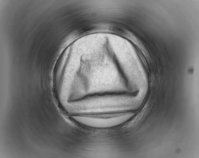 X0000098090858200805021044