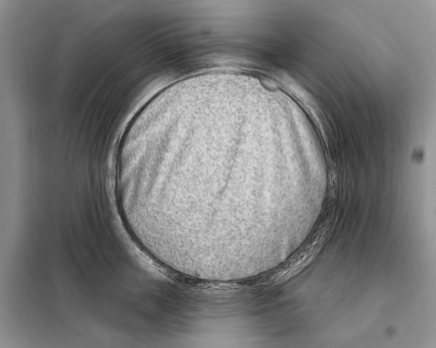 X0000098090859200805021044