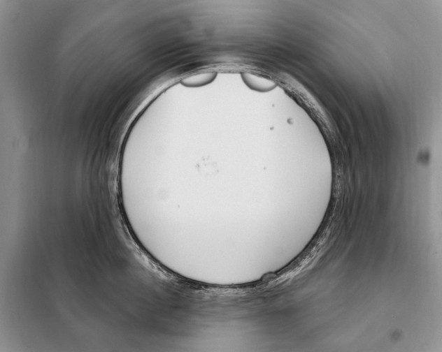 X0000098090860200805021044