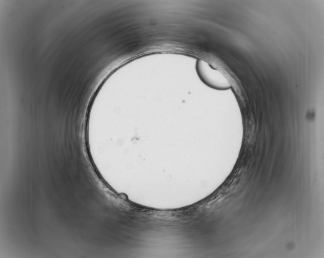 X0000098090861200805021044