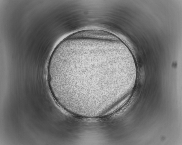 X0000098090862200805021044